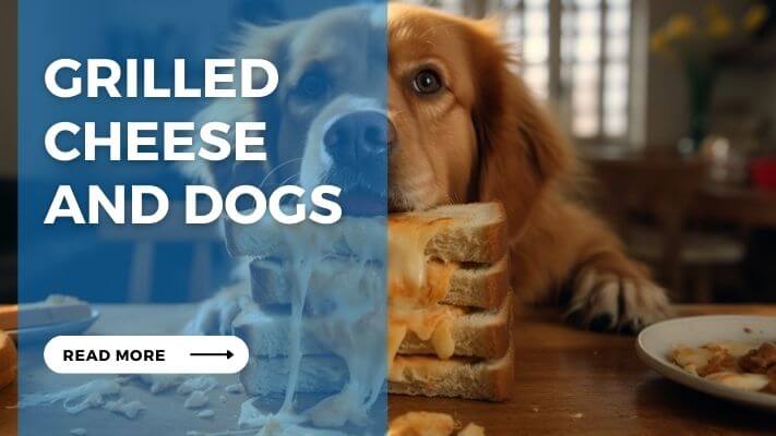 Grilled Cheese and Dogs